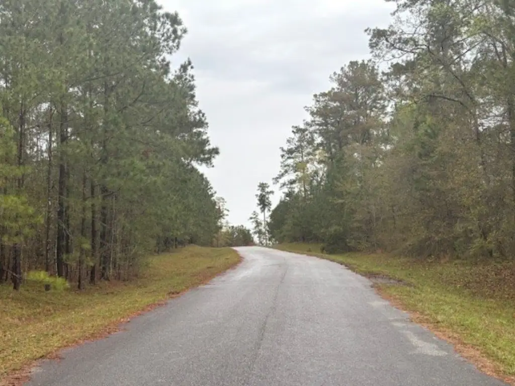 Picture 4