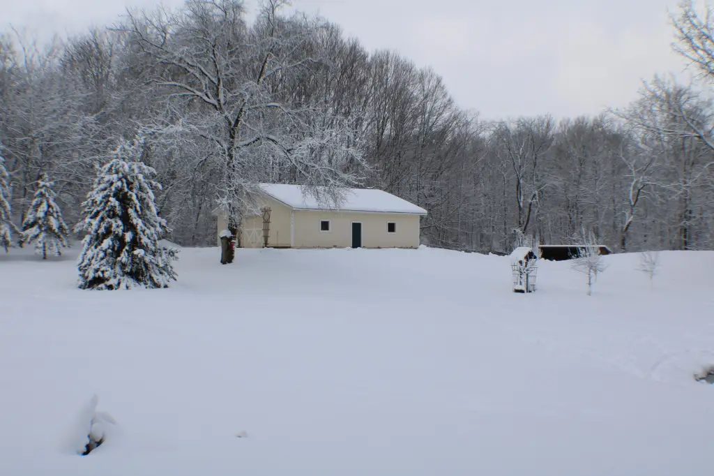 Picture 36