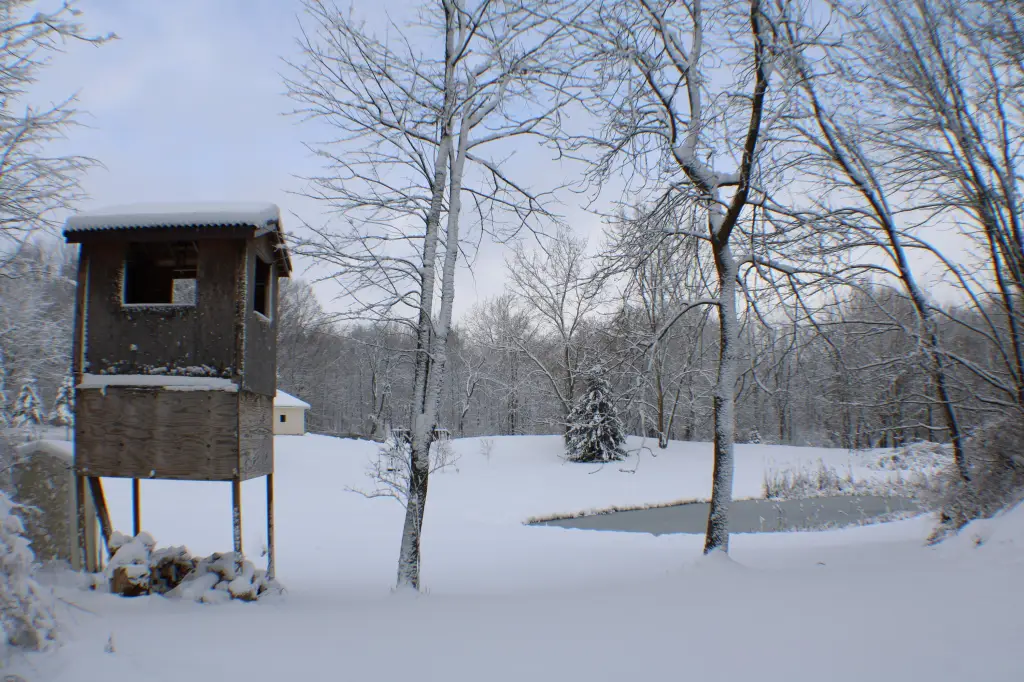 Picture 34
