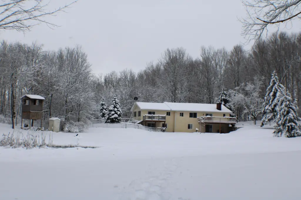 Picture 37