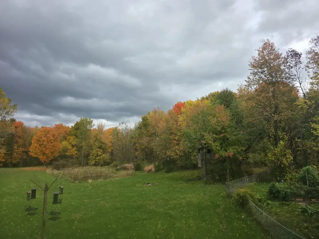 Picture 28