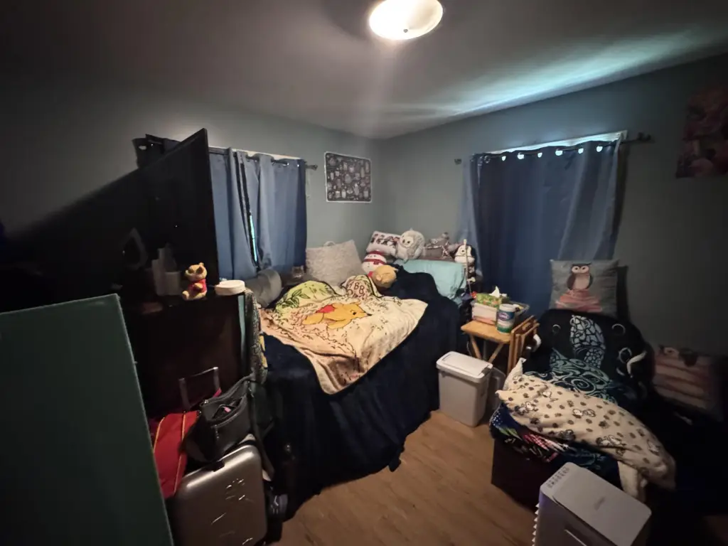 Picture 17