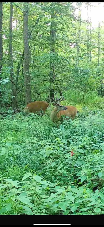 Picture 47