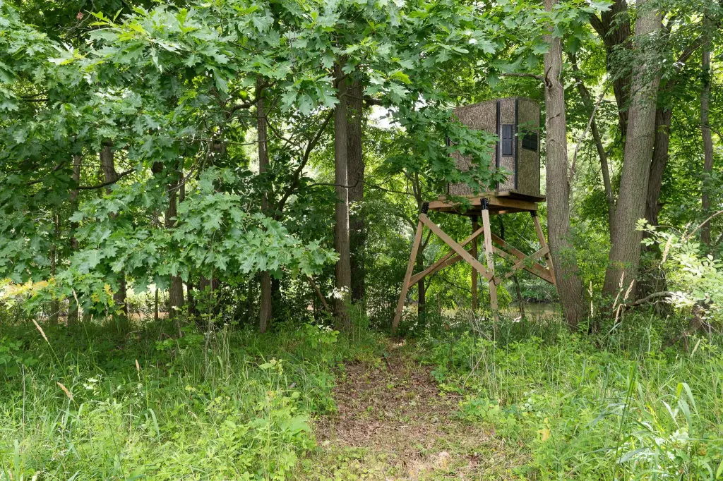 Picture 38