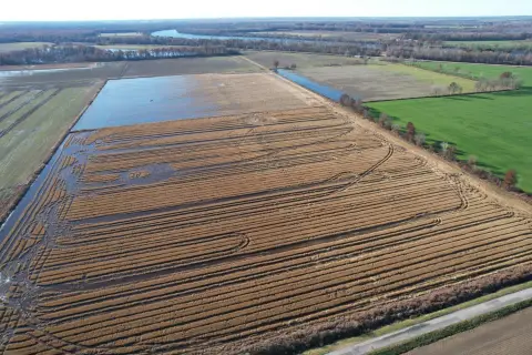 Olive Branch Hunting and Farmland