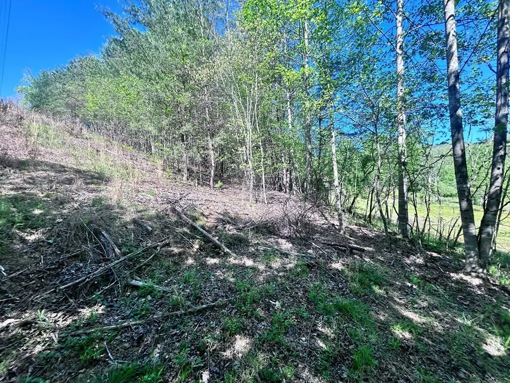 Picture 6