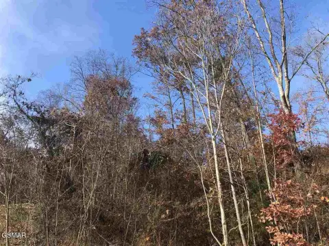 Residential Land in Austin Pointe