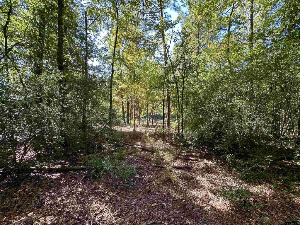 Picture 26