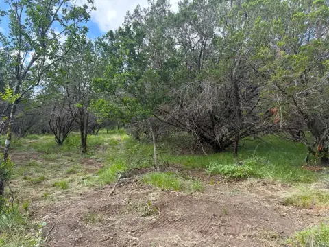Sunrise Beach Wooded Acreage Lot