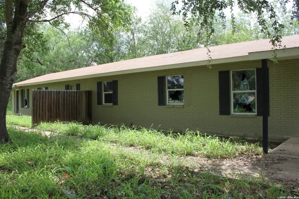 Picture 5