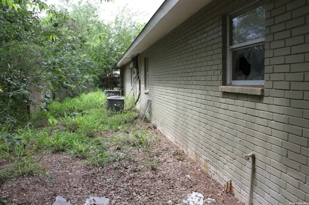 Picture 8