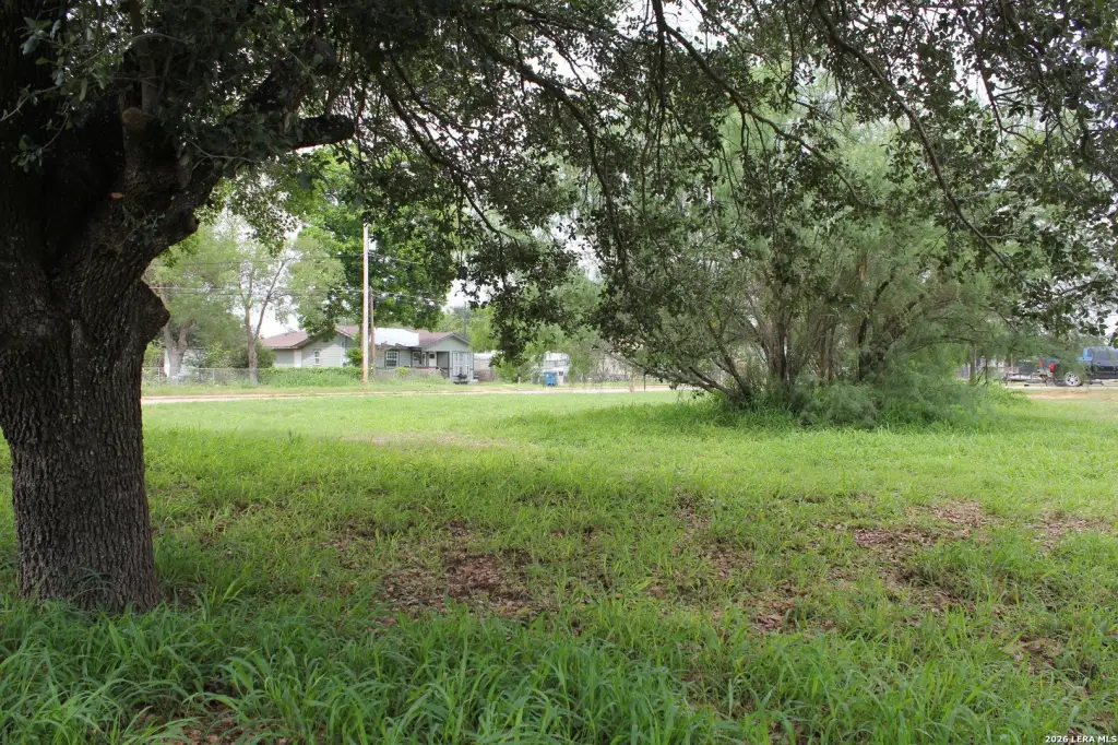 Picture 13