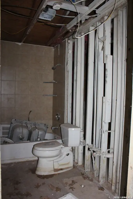 Picture 11
