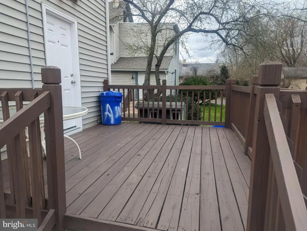 Picture 8