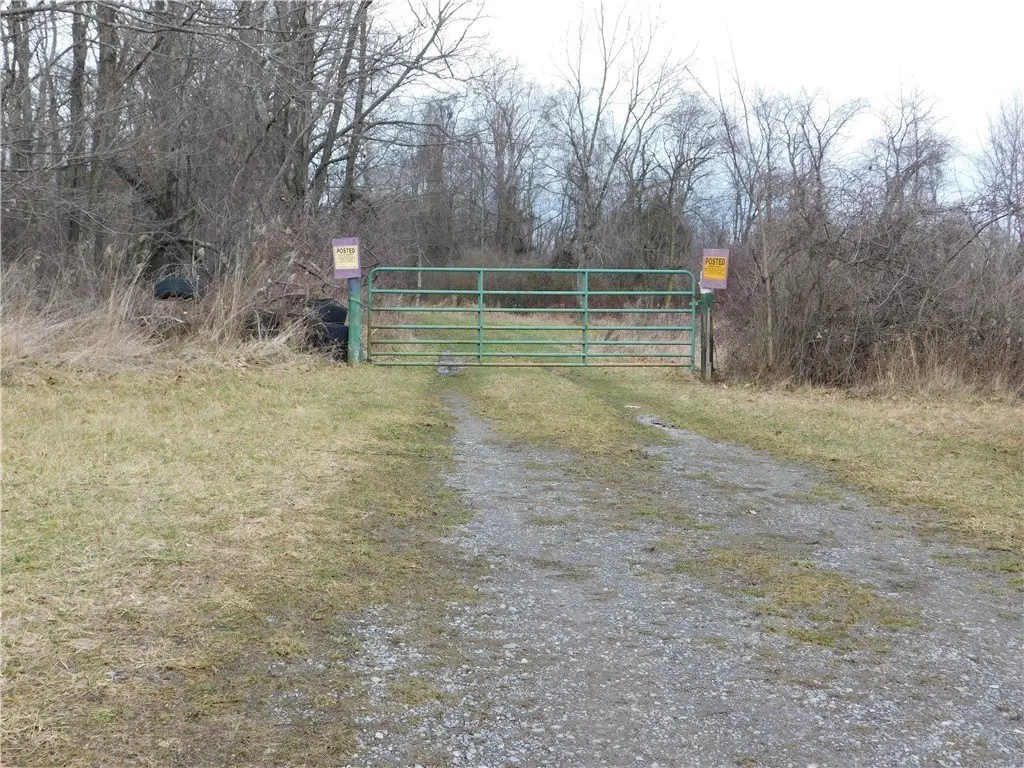 Picture 8