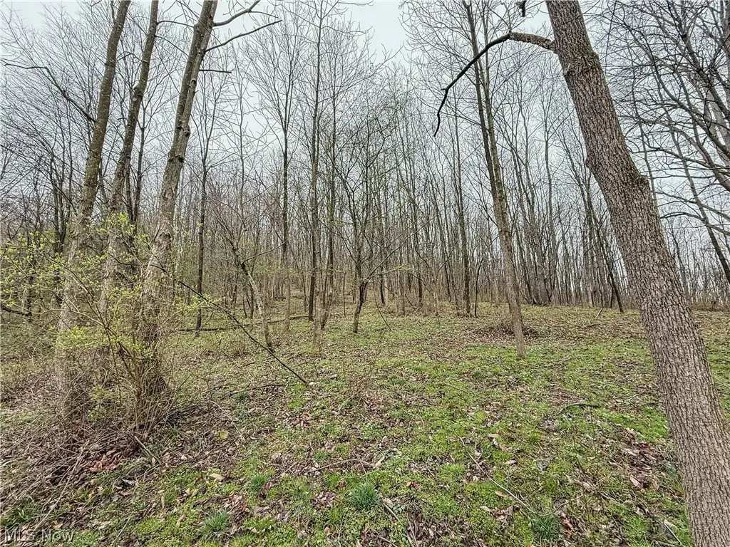 Picture 13