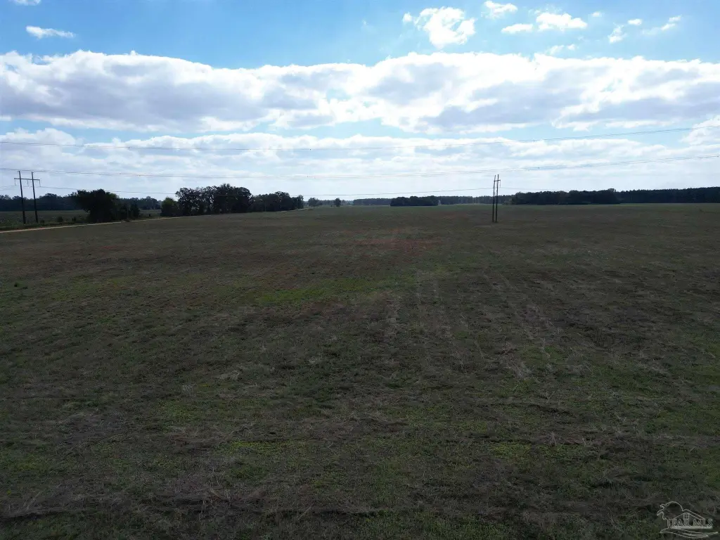 Picture 9