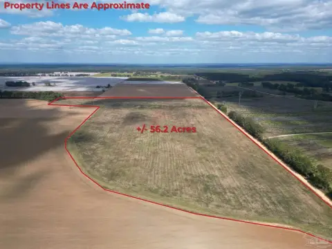 Cleared Agricultural Land