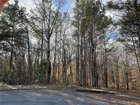 Residential Land in Tuscaloosa, AL