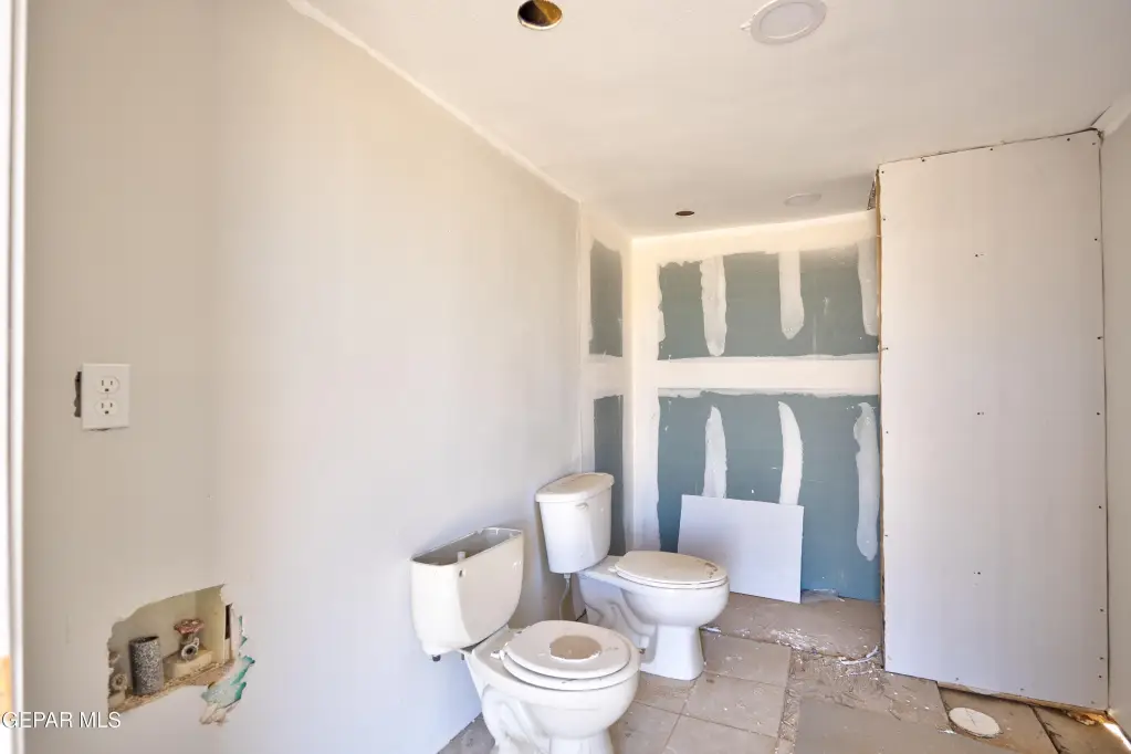 Picture 7