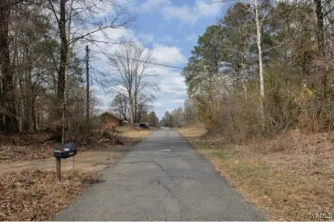Land in Carrollton, Alabama