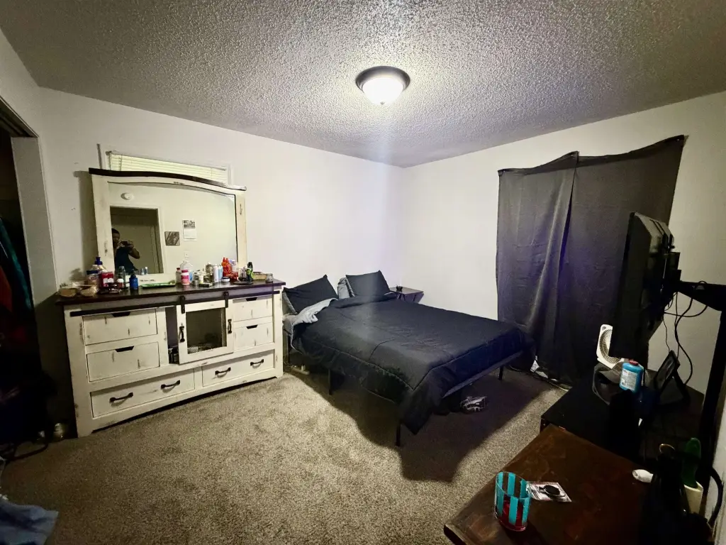 Picture 3