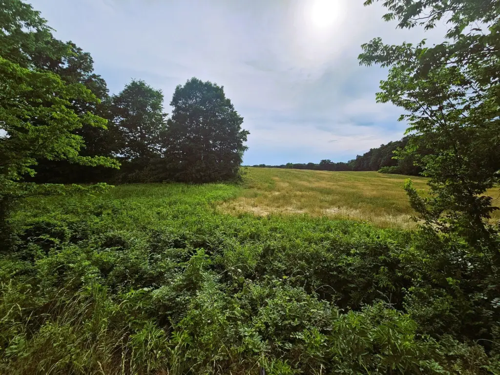 Picture 8