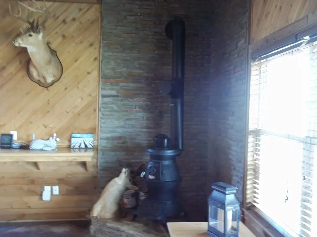 Picture 11