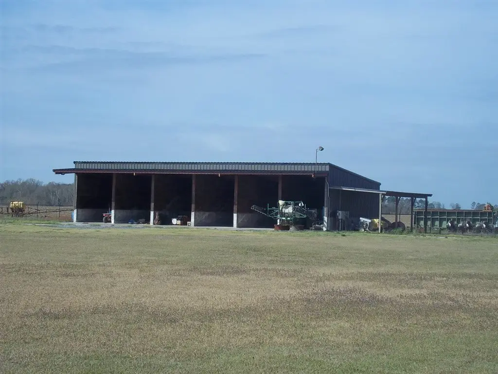 Picture 18