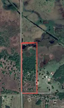20 Acres in Cabbage Woods