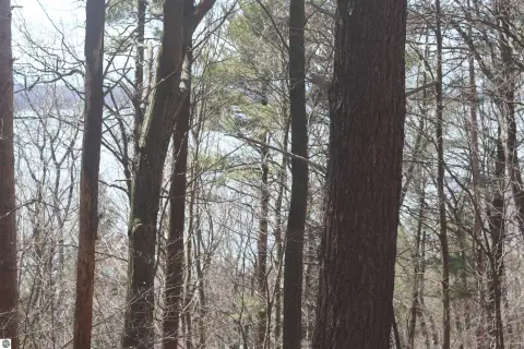 Crystal Lake View Bluff Lot