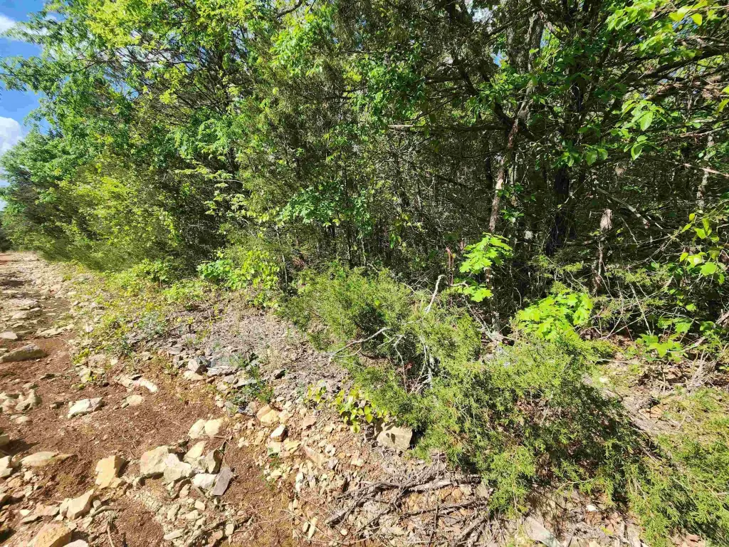 Picture 23