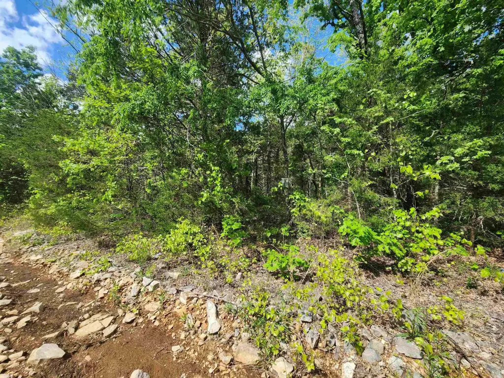Picture 21