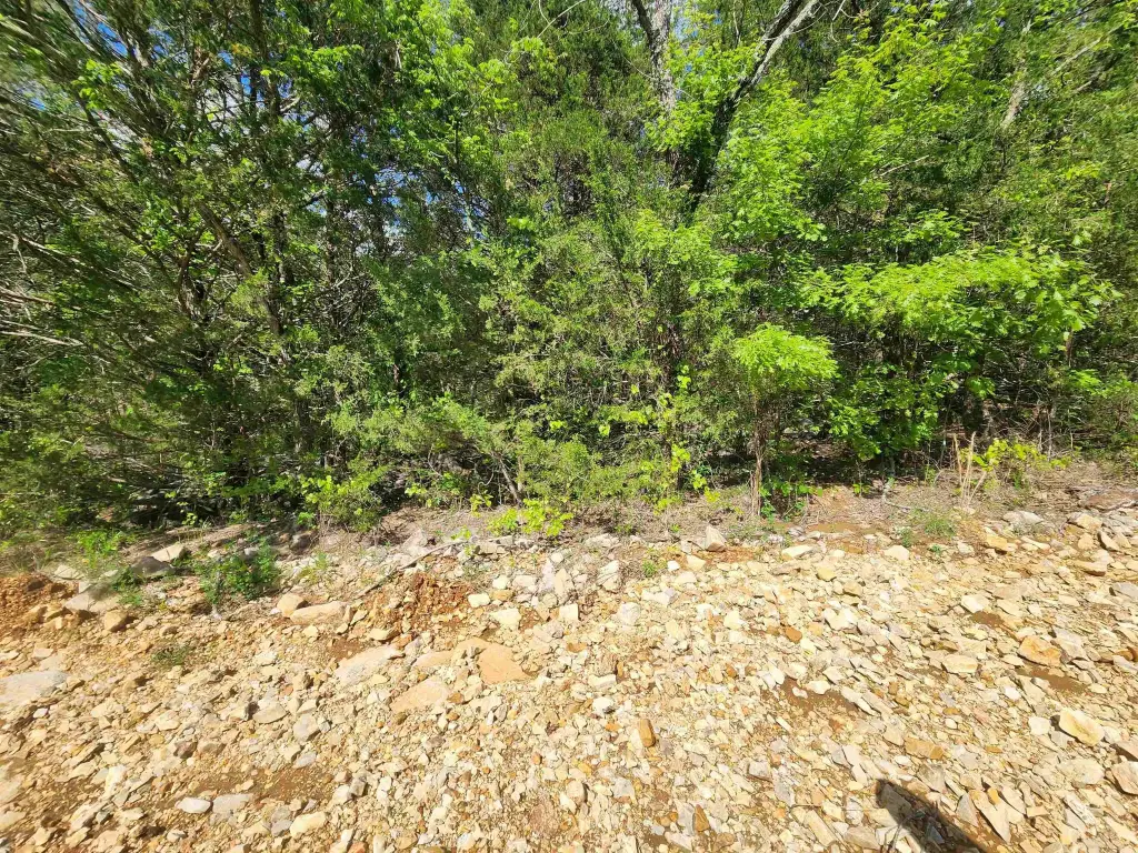 Picture 19