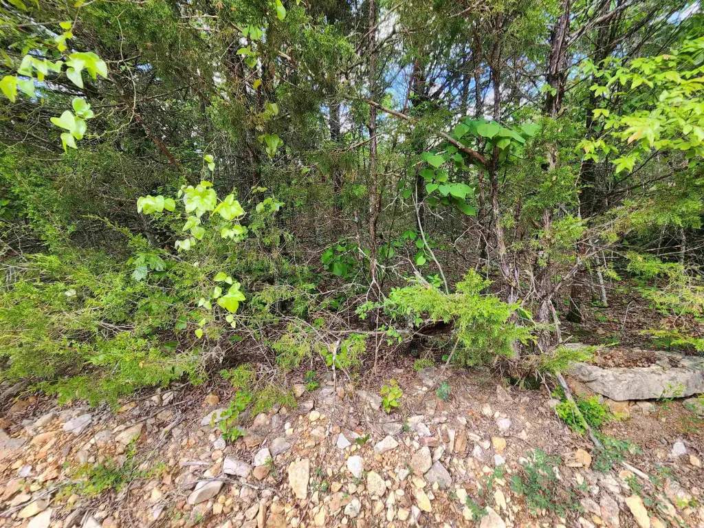 Picture 19