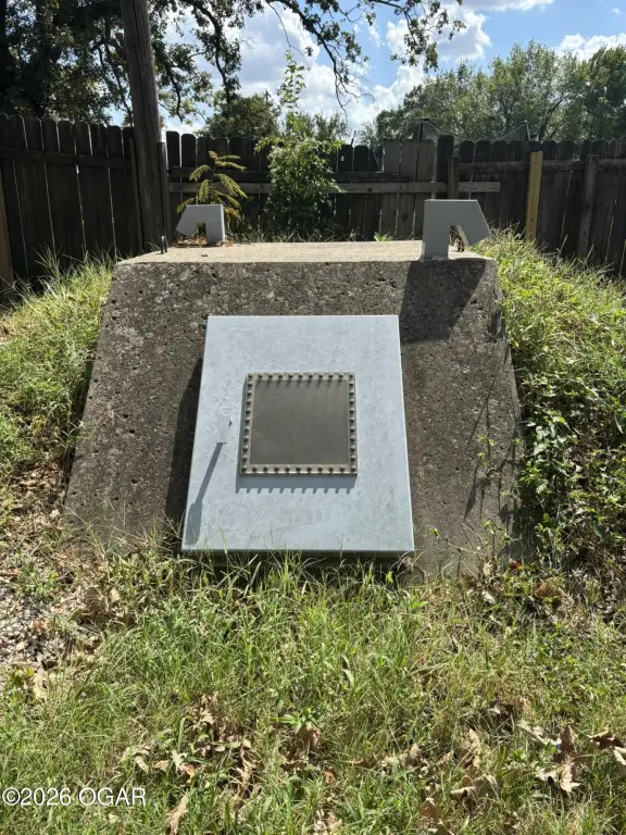 Picture 20