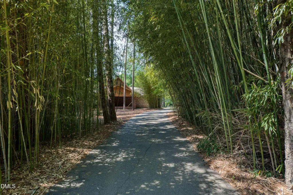Picture 39