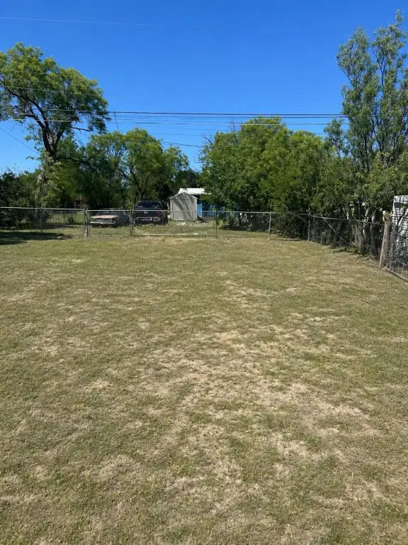 Picture 8