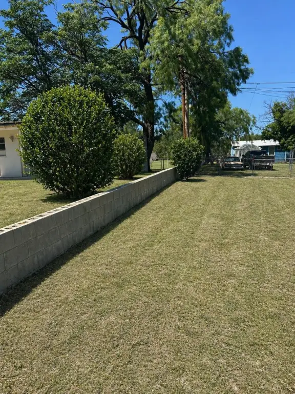 Picture 6
