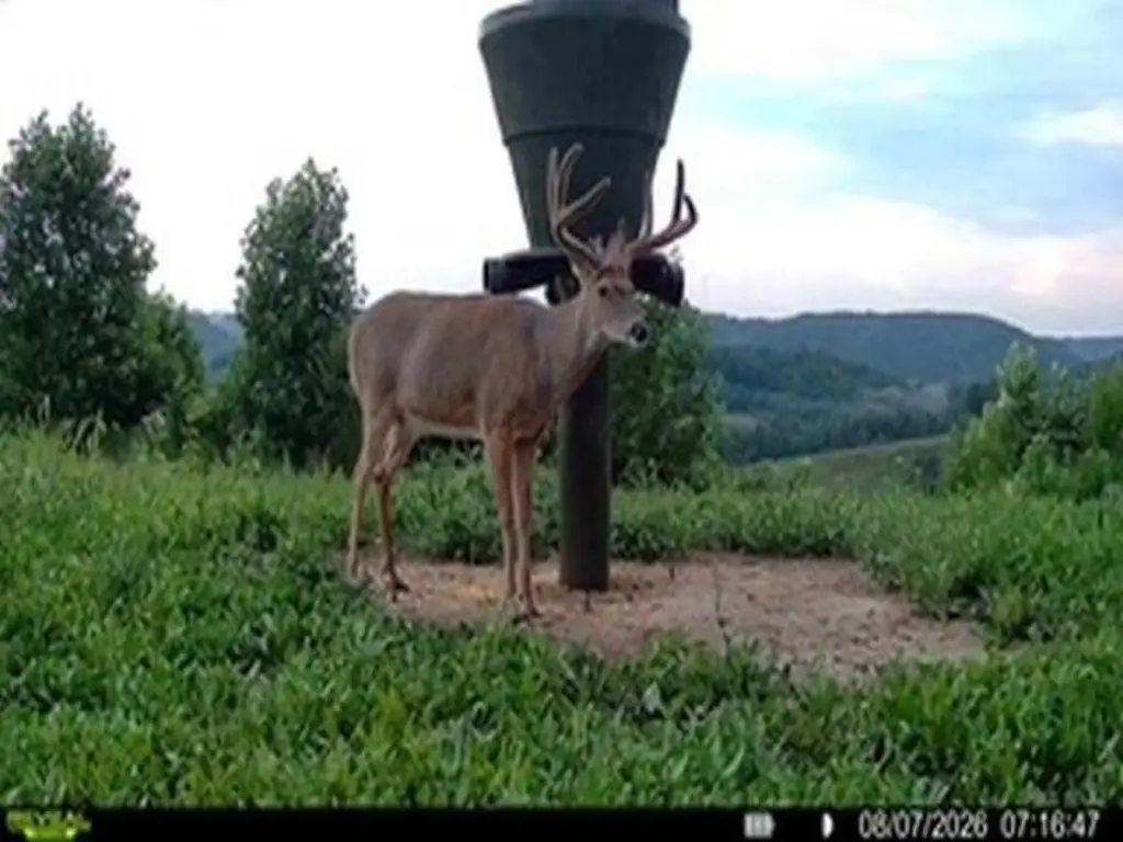 Picture 2