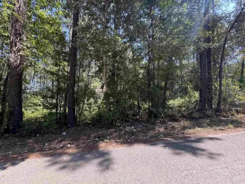 Unrestricted Land Near Lake Sam