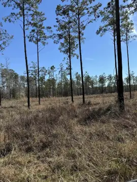 Brookeland Acreage in Gated Community