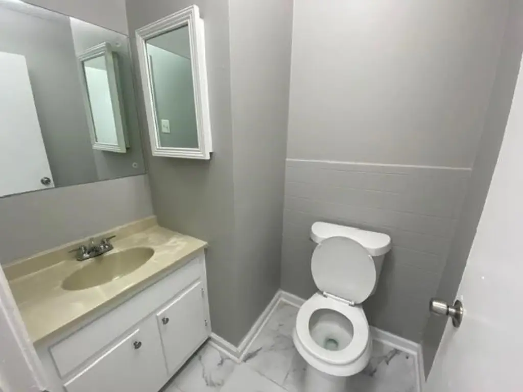 Picture 5