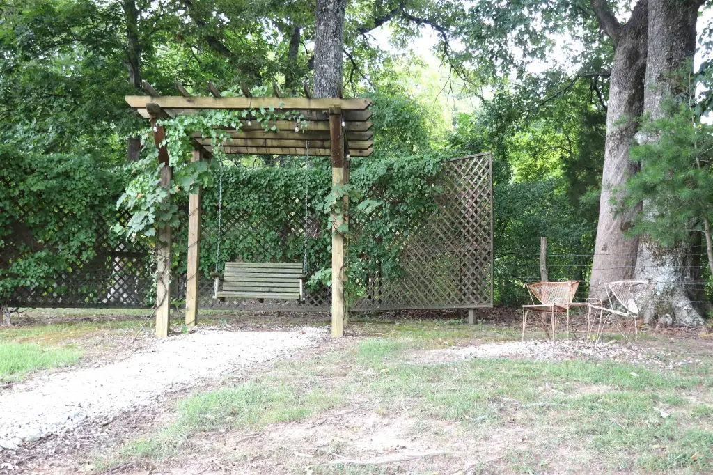 Picture 37