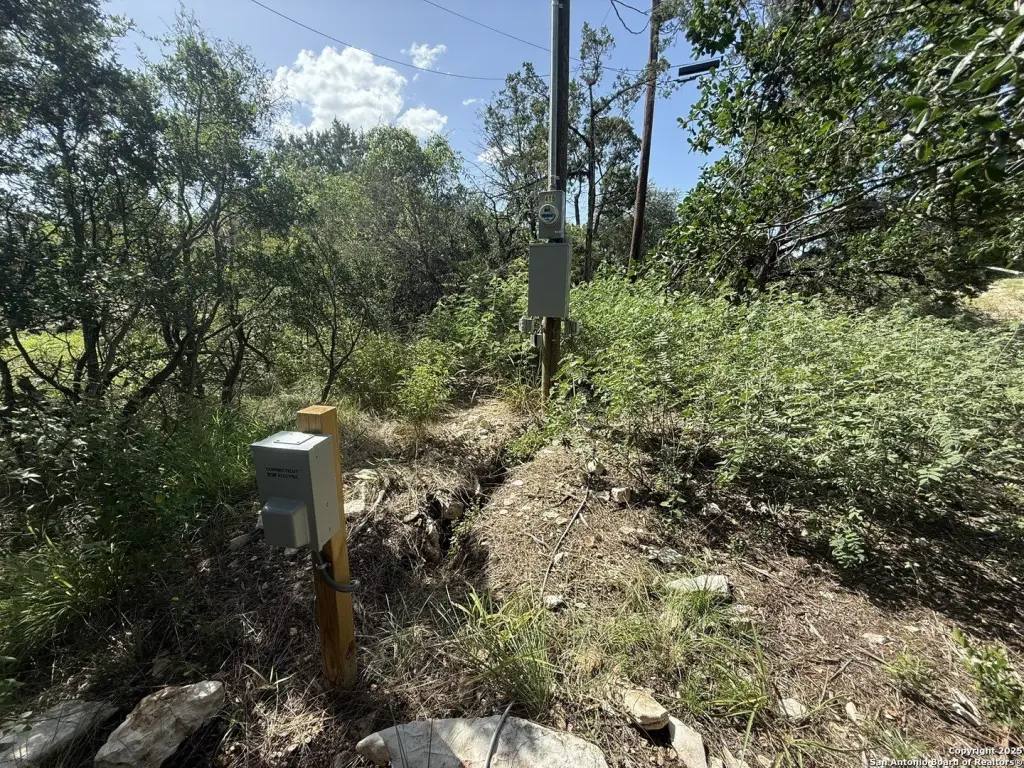 Picture 8