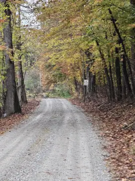 25 Acres of Woodland