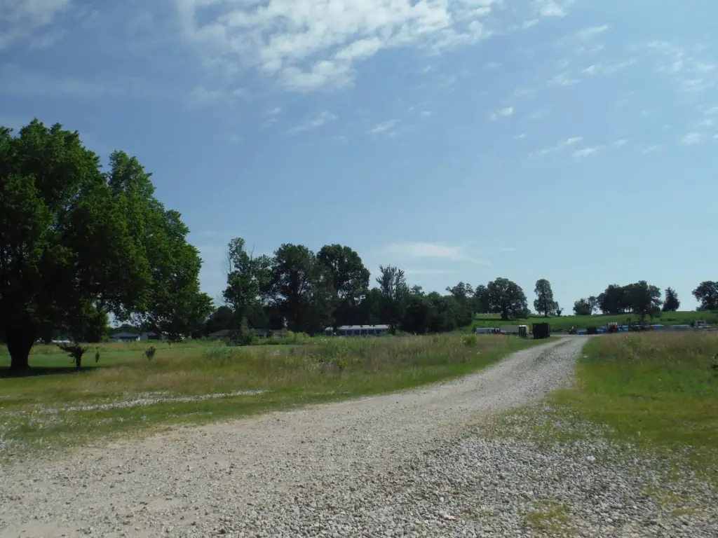 Picture 32