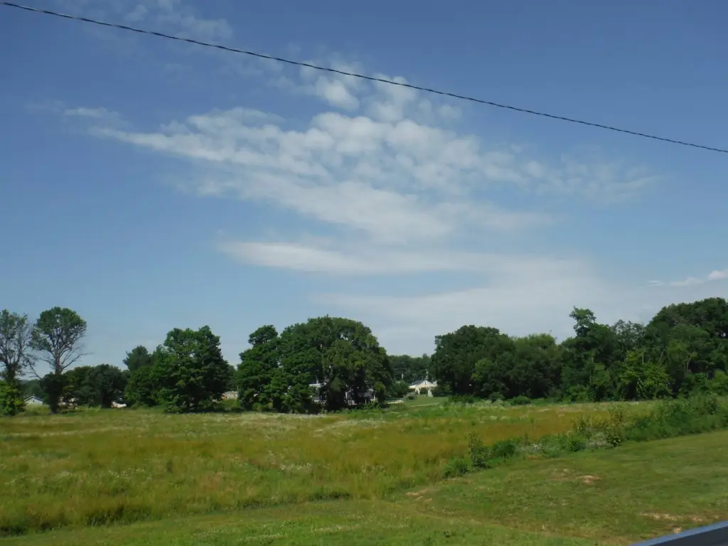 Picture 21