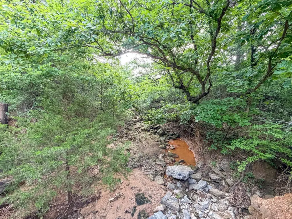 Picture 71