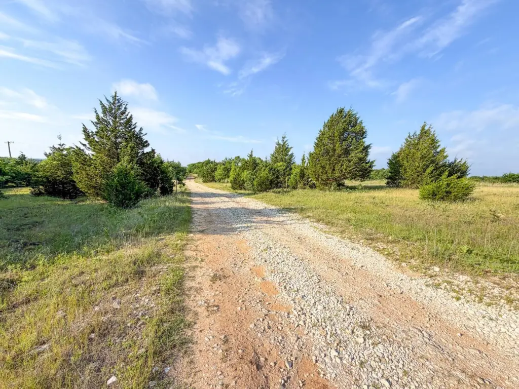 Picture 41